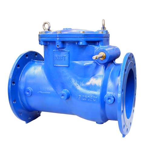 swing check valve-100